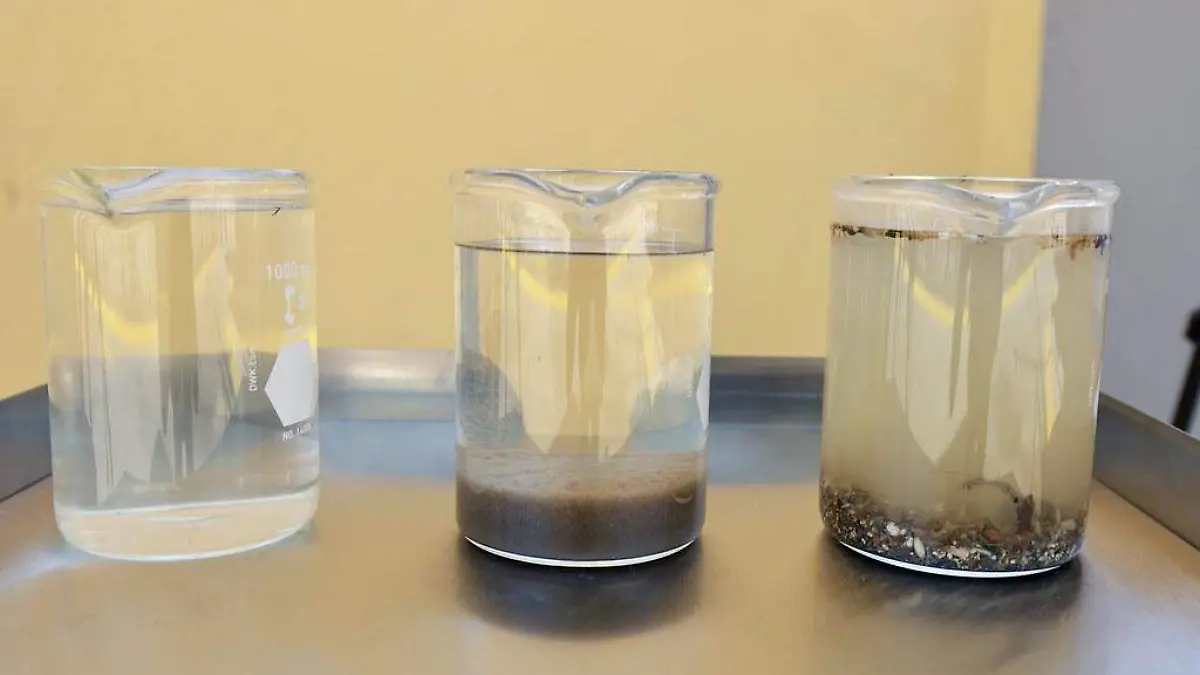 55168789015_f662f97904_b