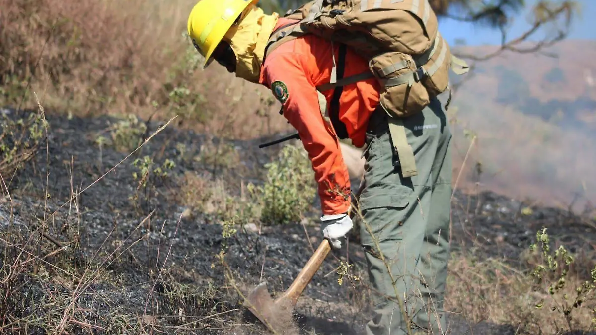 WhatsApp Image 2026-03-30 at 4.08.17 PM