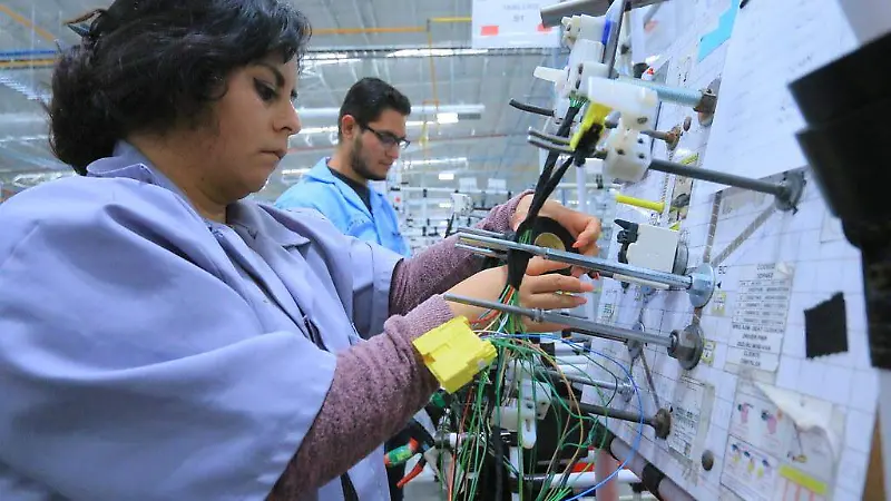 exportaciones
