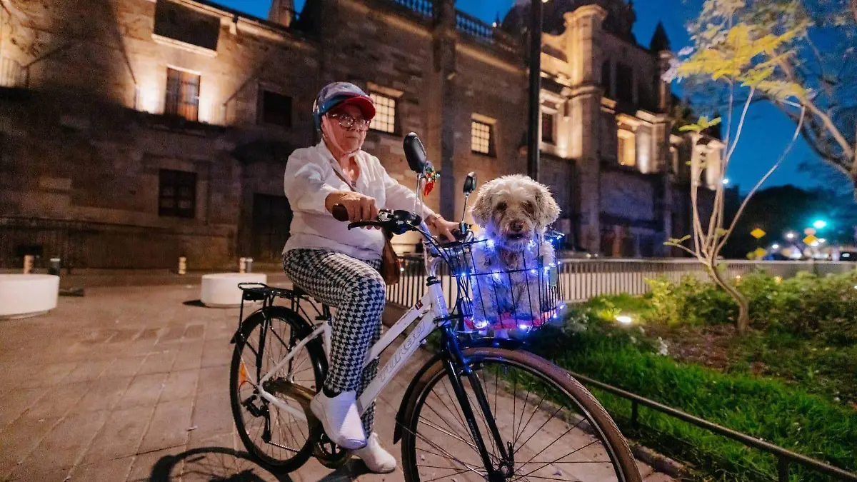 viarecretiva nocturna (2)