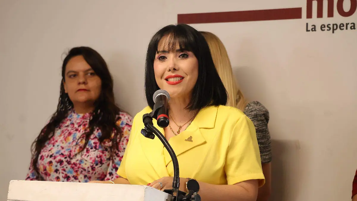 Diputada Martha Arizmendi