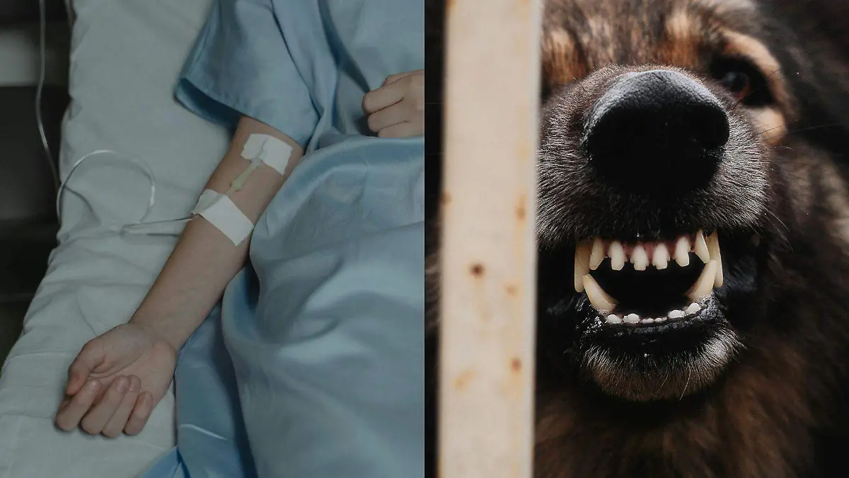 Agregar un título (100)