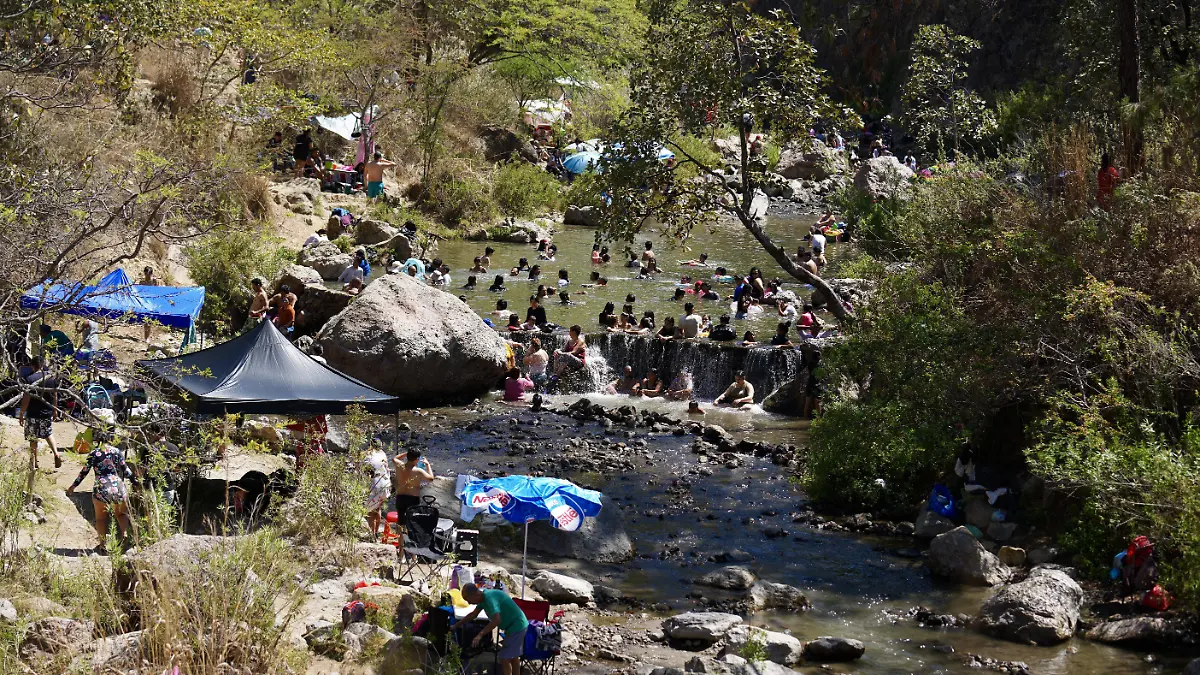 Bosque de la Primavera Foto Coordinación General de Gestión del Territorio  (2)