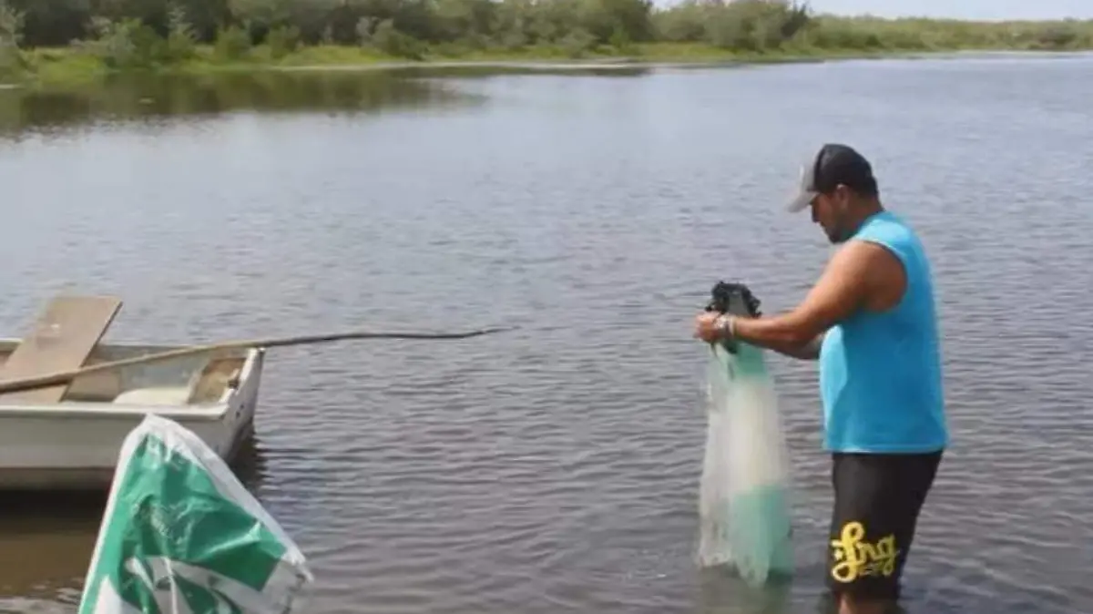 WhatsApp Image 2026-04-08 at 3.37.37 PM