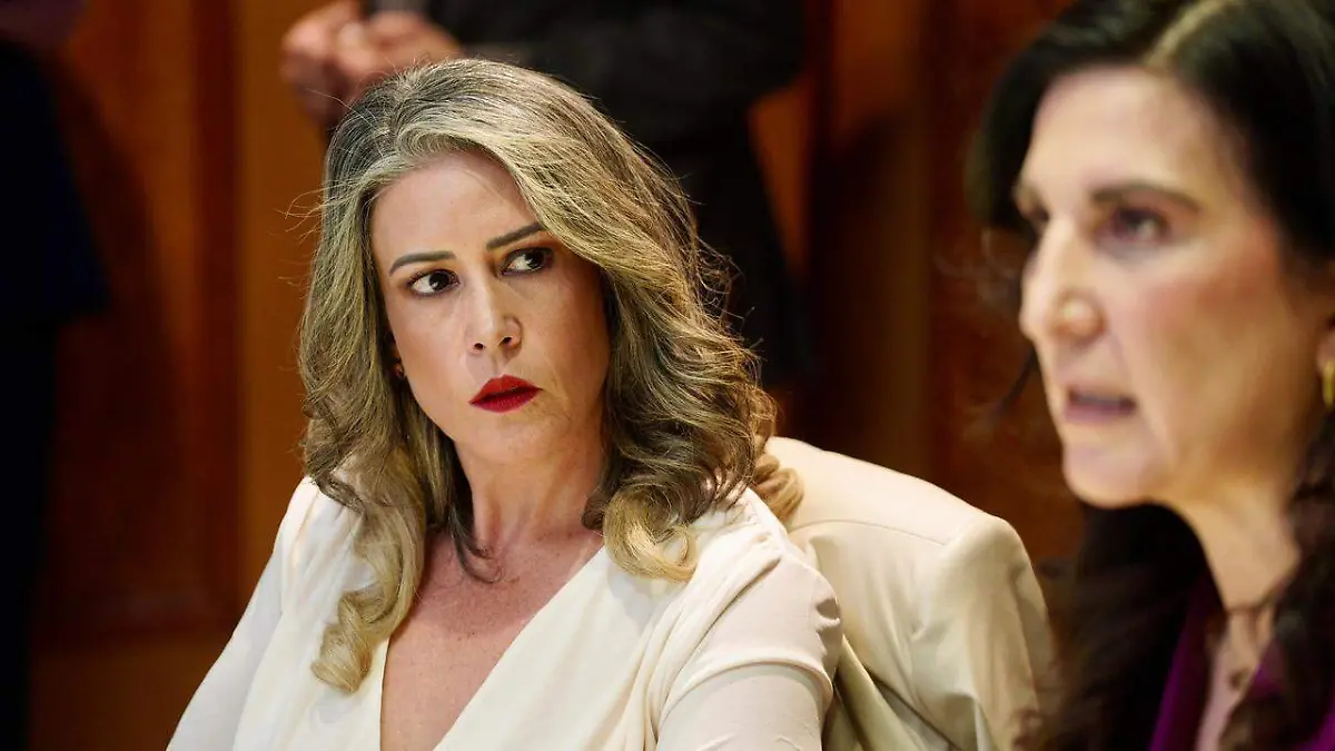 Diputada Paulina Rubio