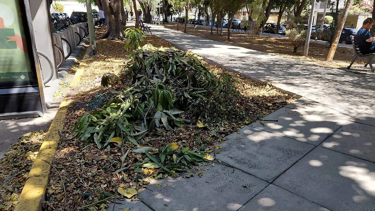 Parque de las estrellas