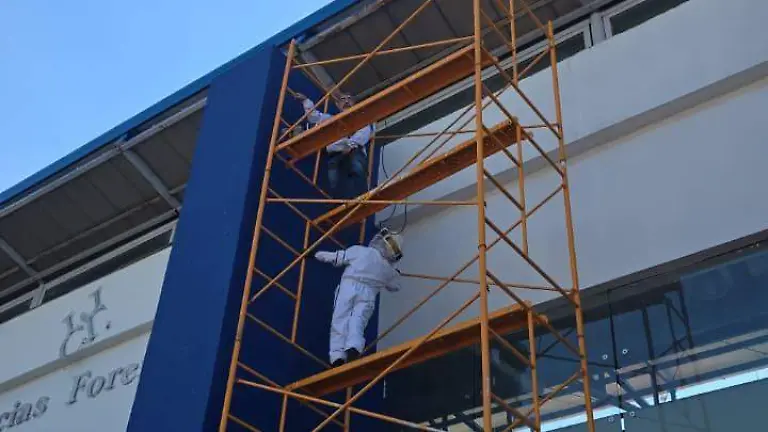 WhatsApp Image 2026-04-10 at 2.50.40 PM