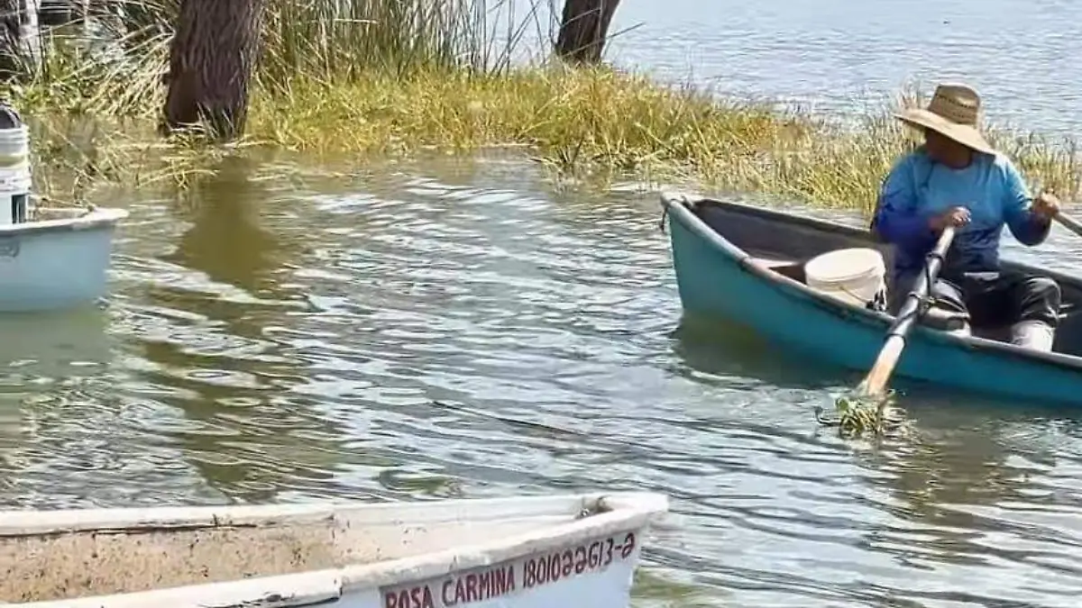 WhatsApp Image 2026-04-10 at 3.22.14 PM