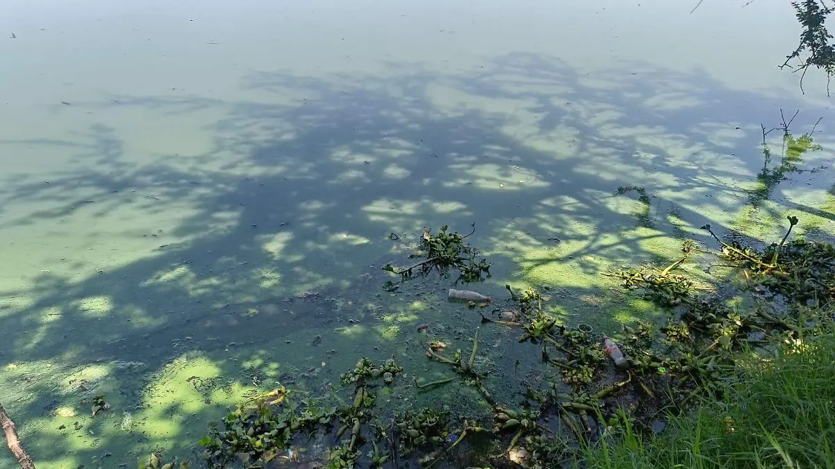 WhatsApp Image 2026-04-12 at 12.18.17 PM (1)