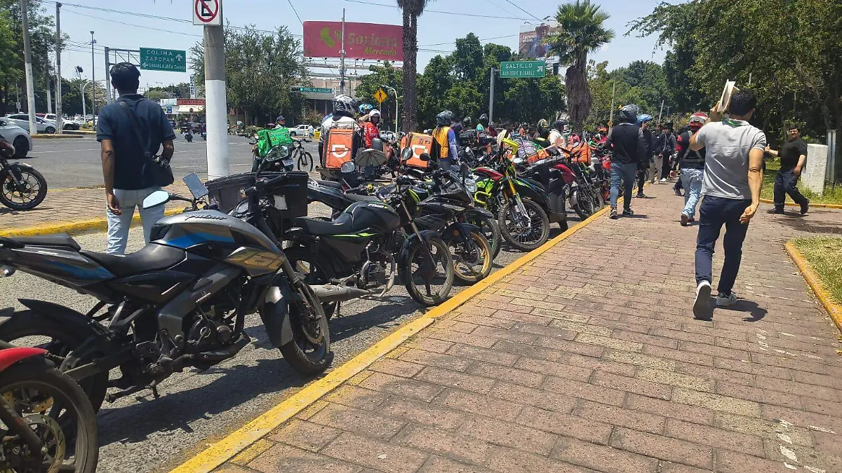 WhatsApp Image 2026-04-13 at 3.25.51 PM