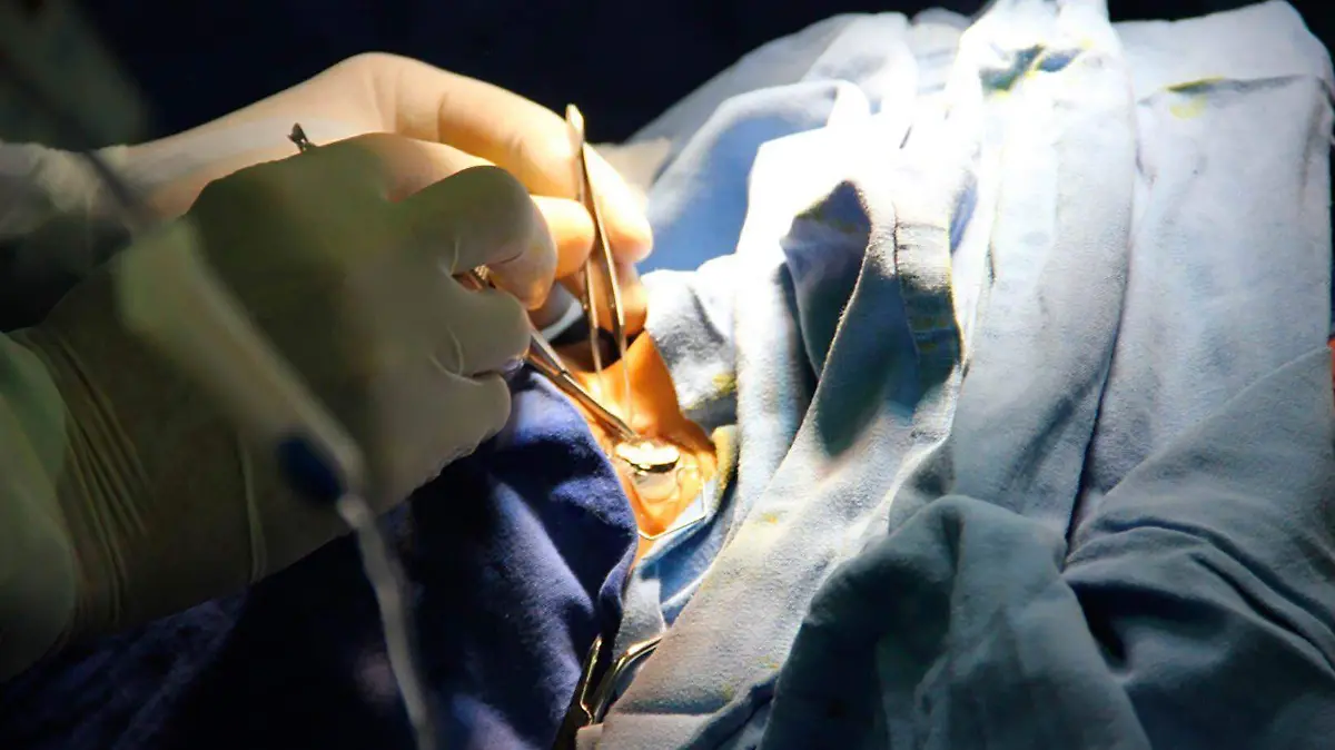 983970_IMSS Trasplantes_impreso