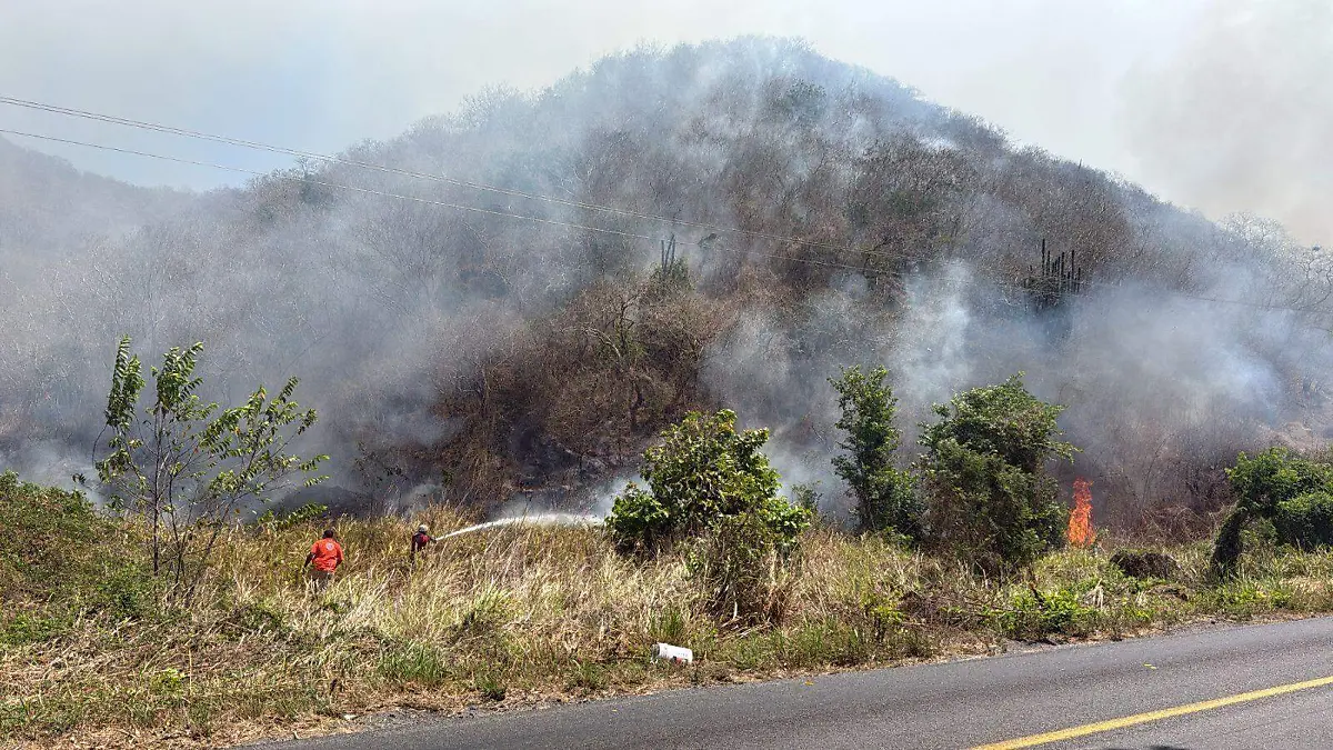 Incendio forestal Colima