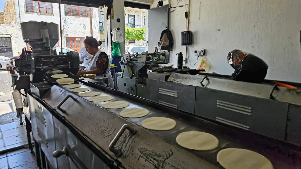 Tortilla Foto Aurelio Magaña  (8)