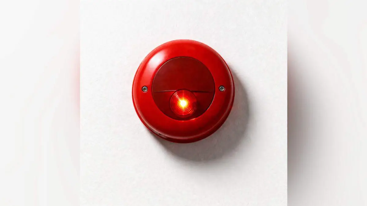 WhatsApp Image 2026-04-16 at 4.20.56 PM