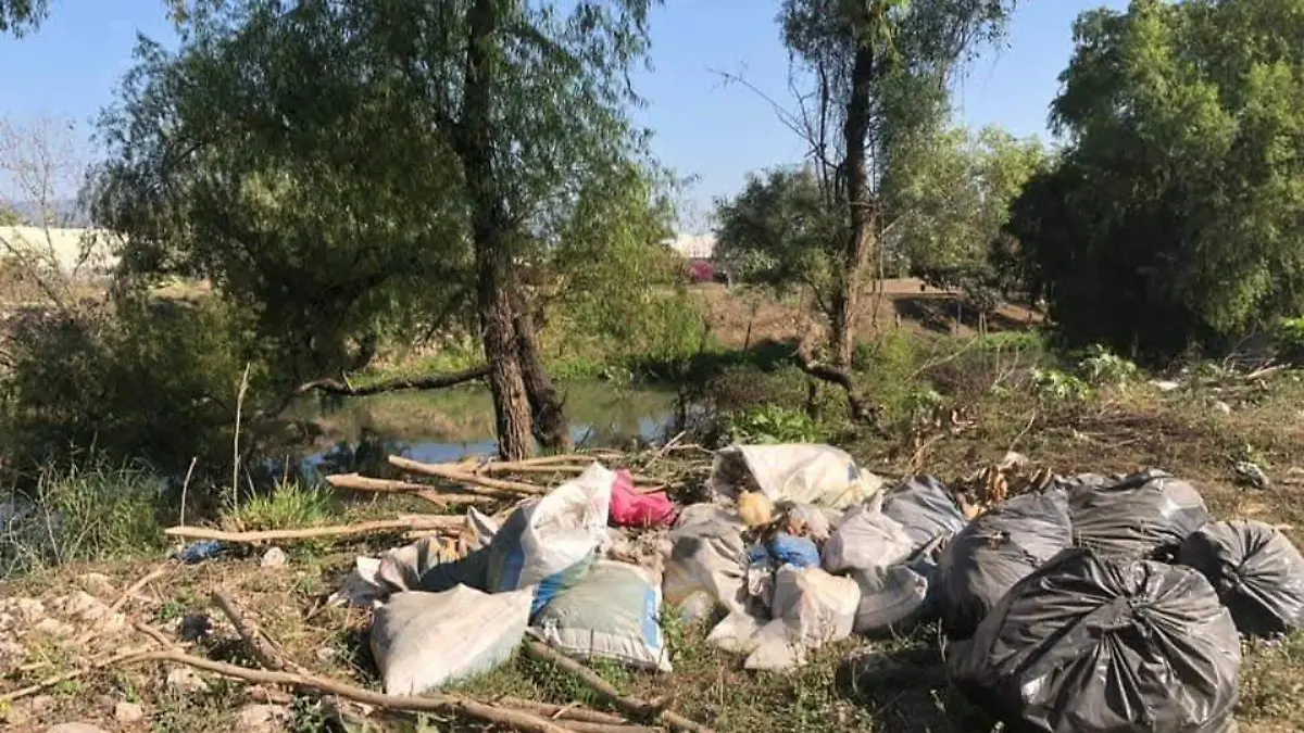 WhatsApp Image 2026-04-19 at 2.12.15 PM