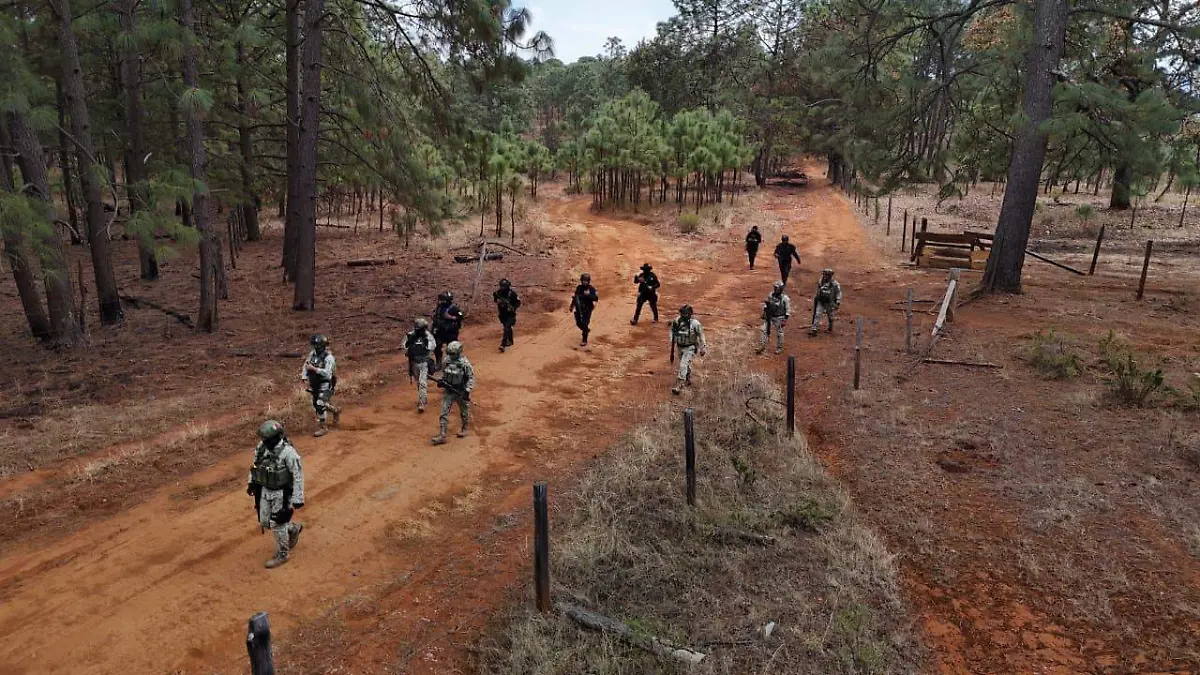 Policía Nayarit (5)