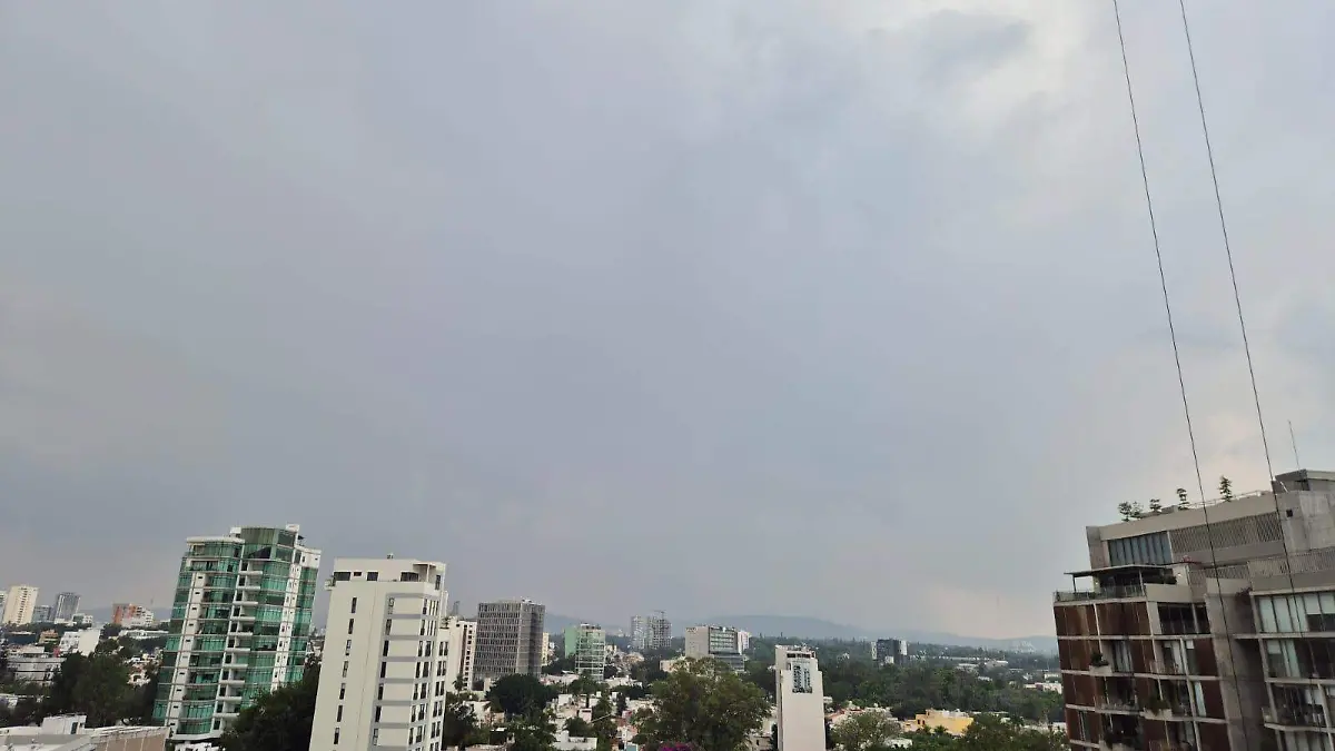 WhatsApp Image 2026-04-20 at 2.25.08 PM