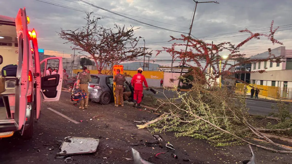 WhatsApp Image 2026-04-20 at 9.28.03 PM