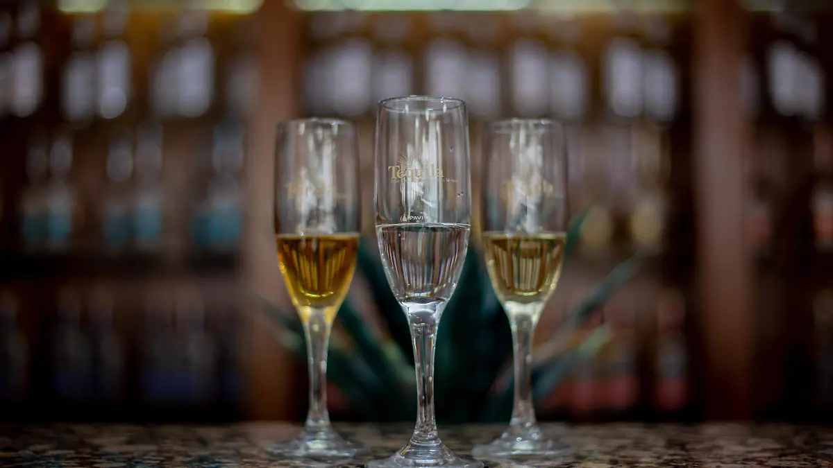 CNIT EDIFICIO BOTELLS Y COPAS (29)