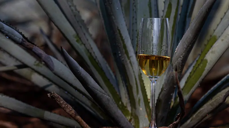 Tequila 