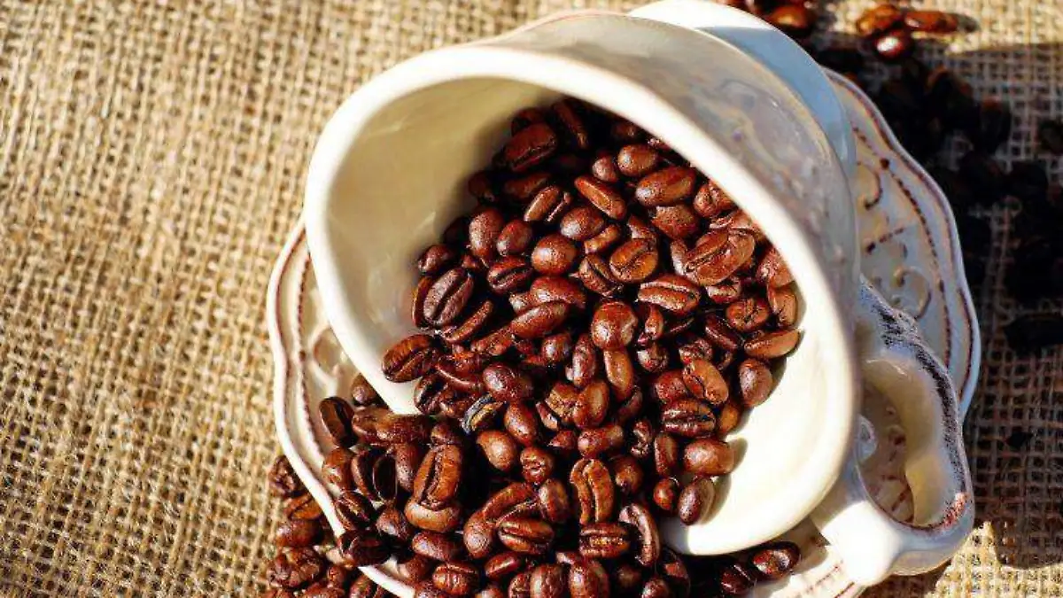 WhatsApp Image 2026-04-24 at 3.09.10 PM