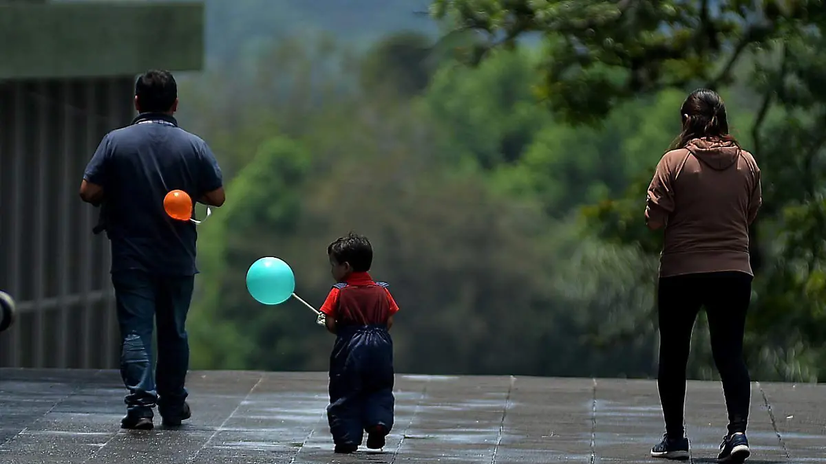 651175_Dia del niño Veracruz_impreso