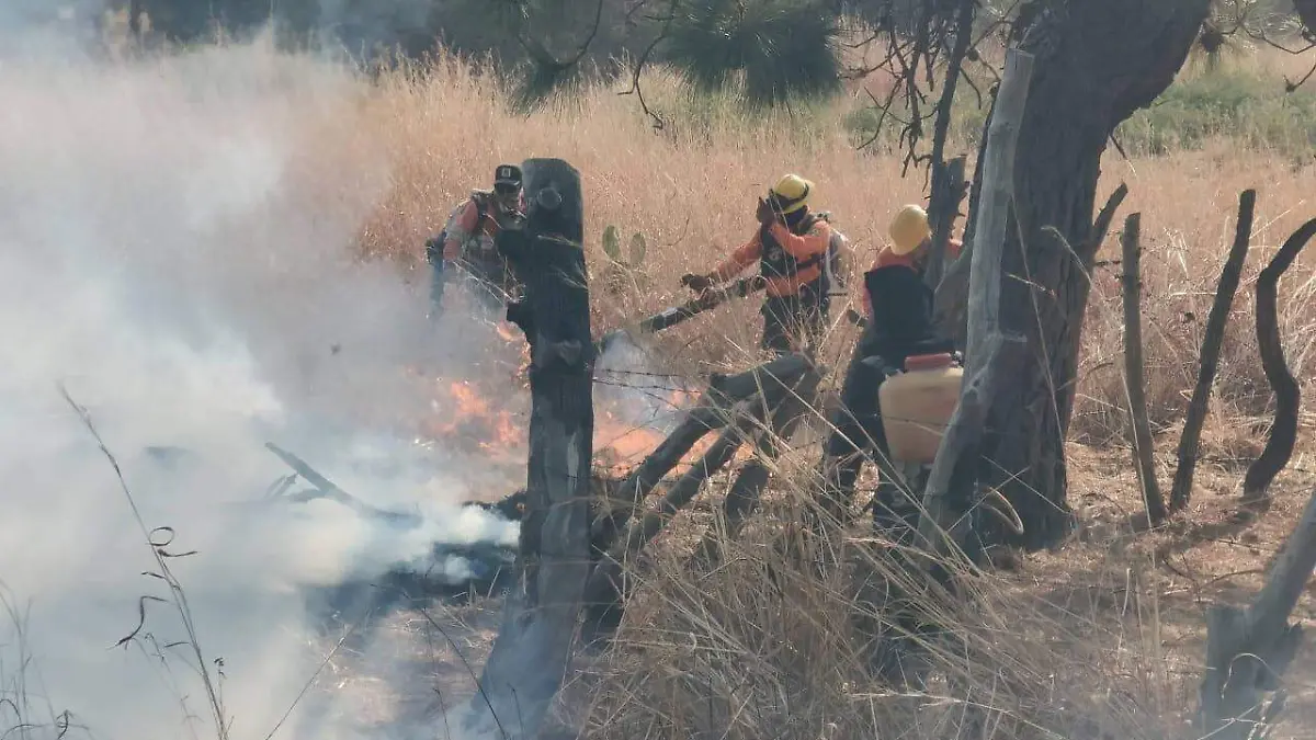 Incendio La Yesca
