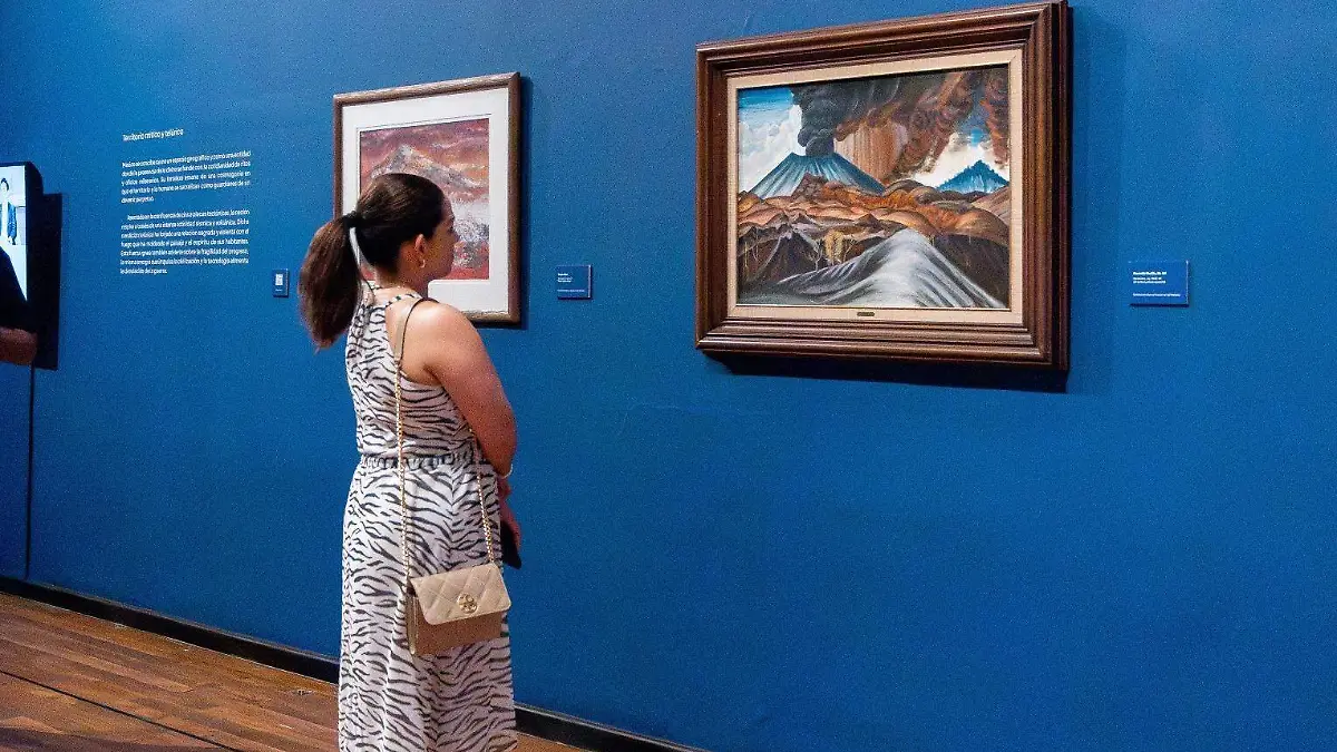 Museo Cabaña 5