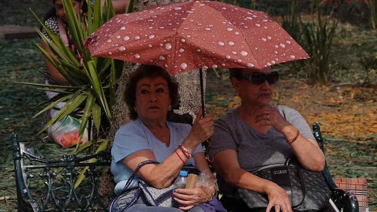 Ola de calor Foto Graciela López