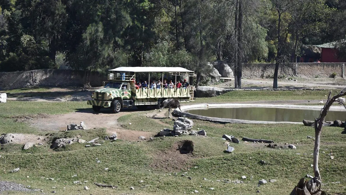 Zoologico