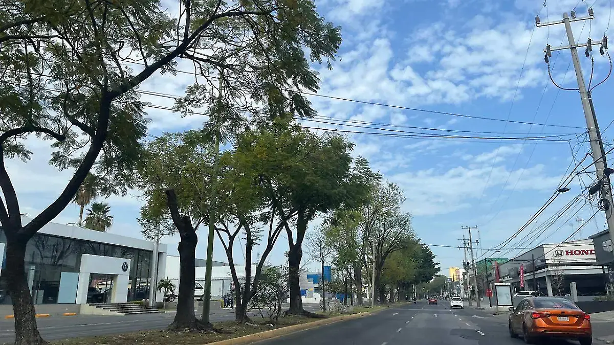 Bacheo calles