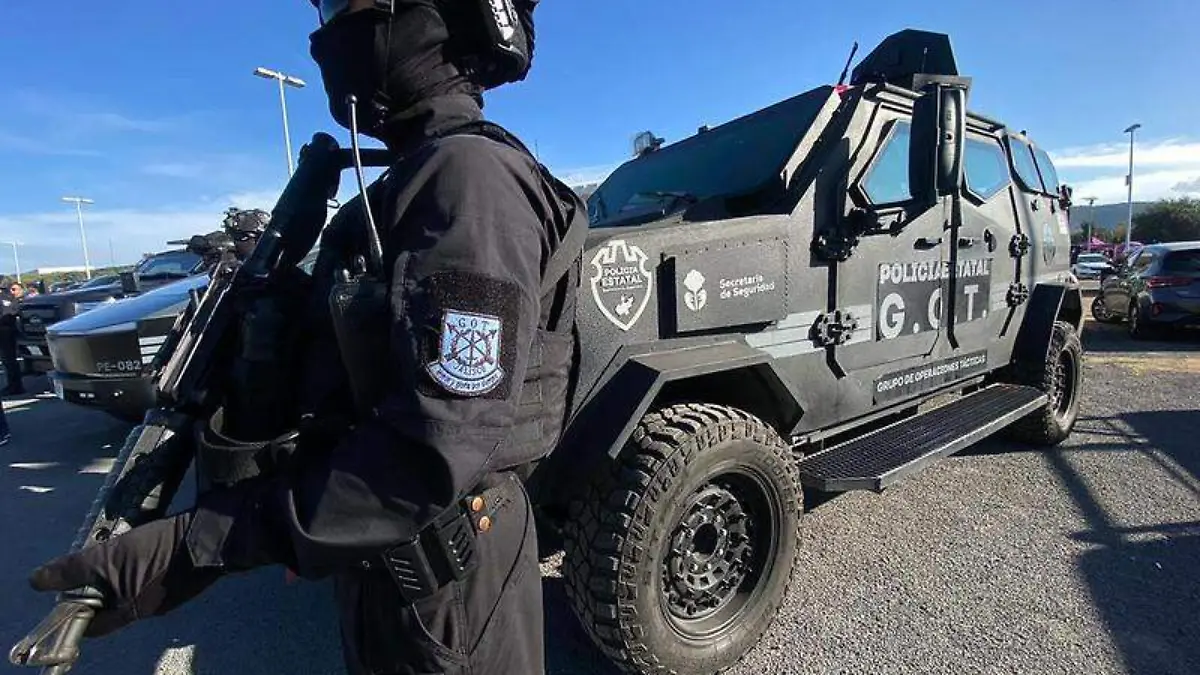 Elementos de seguridad