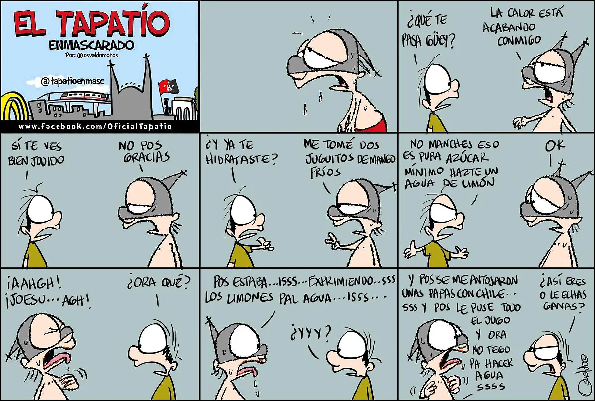 El Tapatío Enmascarado