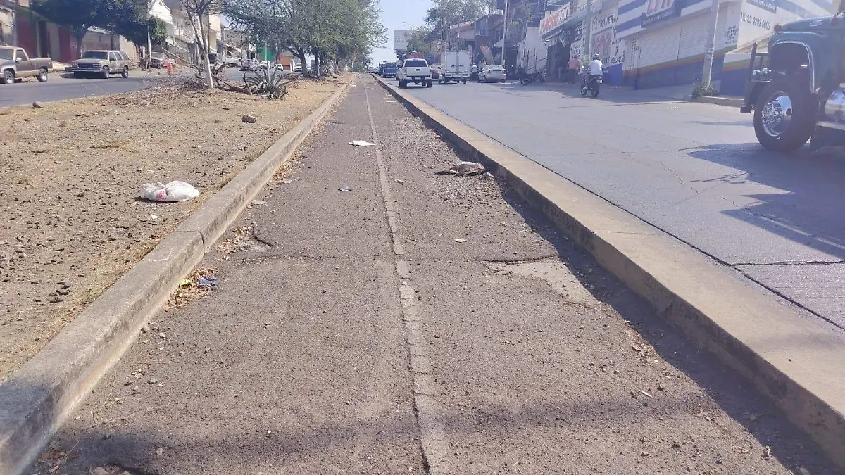 Ciclovía 8 de julio