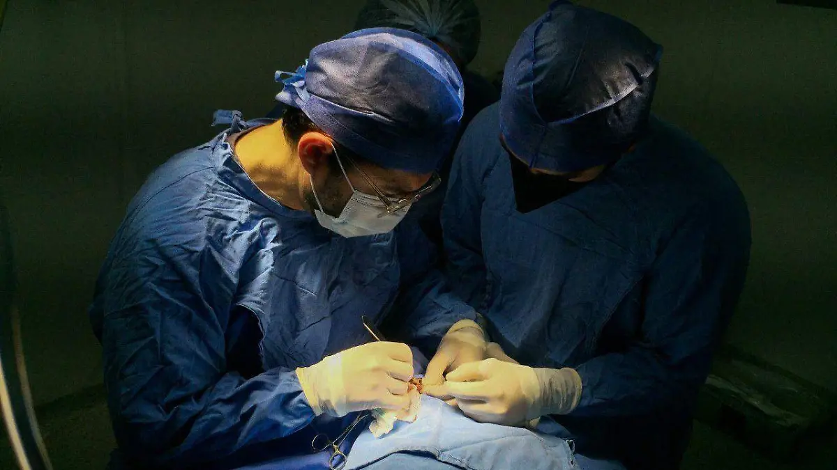836599_Servicios de Salud en el IMSS_impreso