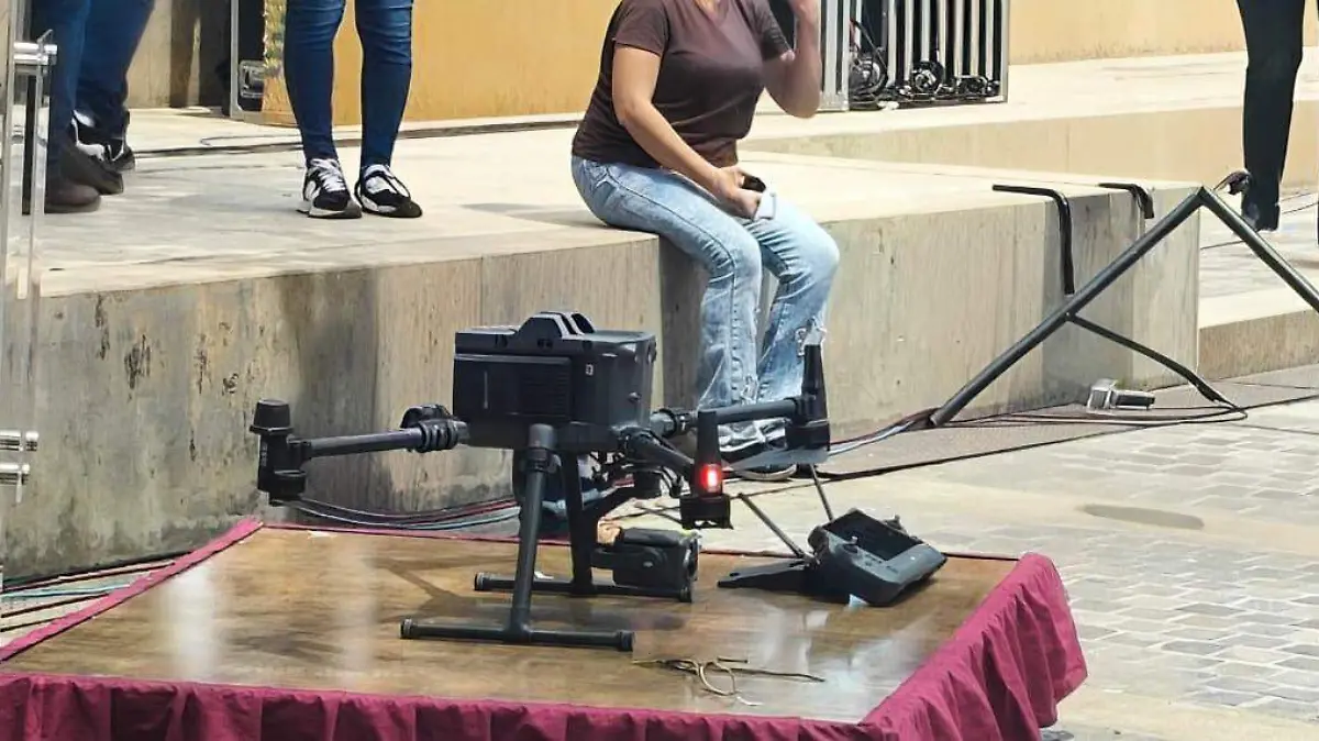 Dron Alerta Violeta Foto Crys Benítez