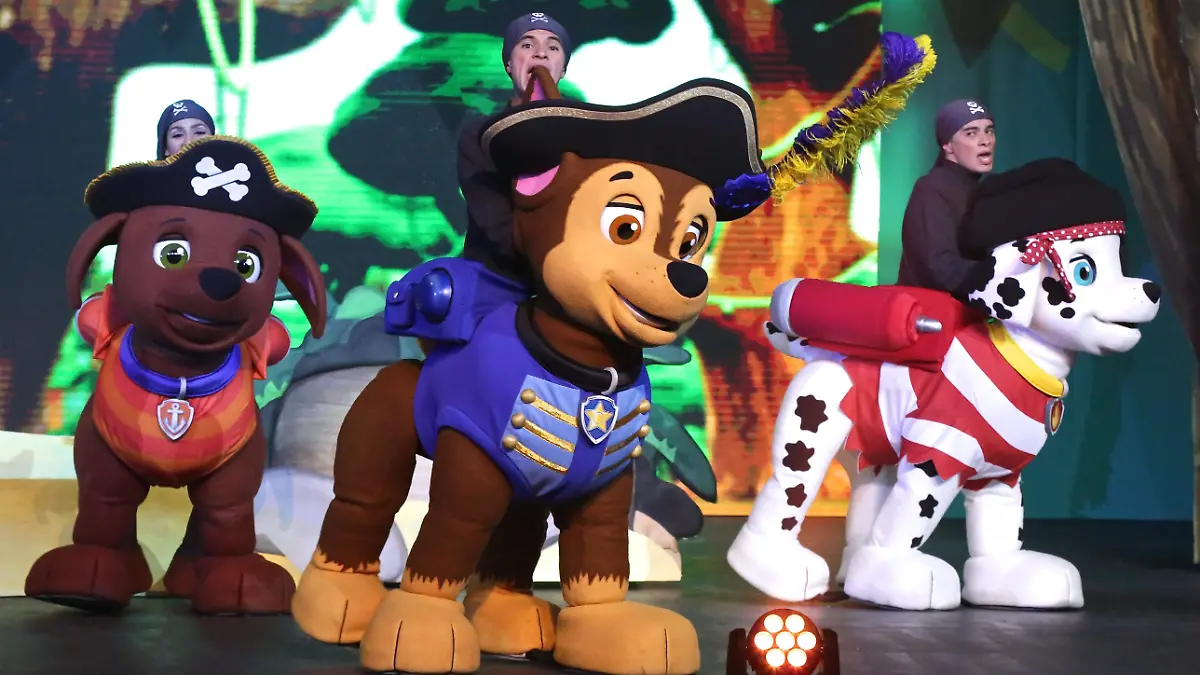 Paw Patrol (3)