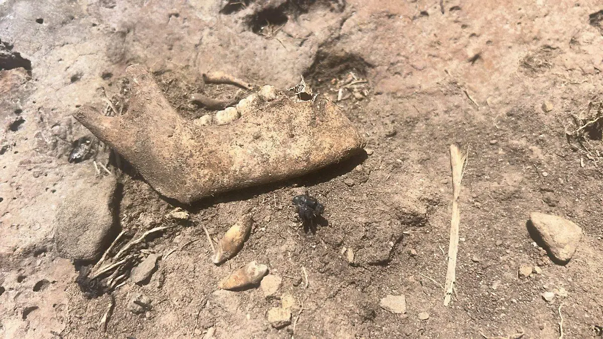 Hallazgo restos humanos Guerreros Buscadores de Jalisco