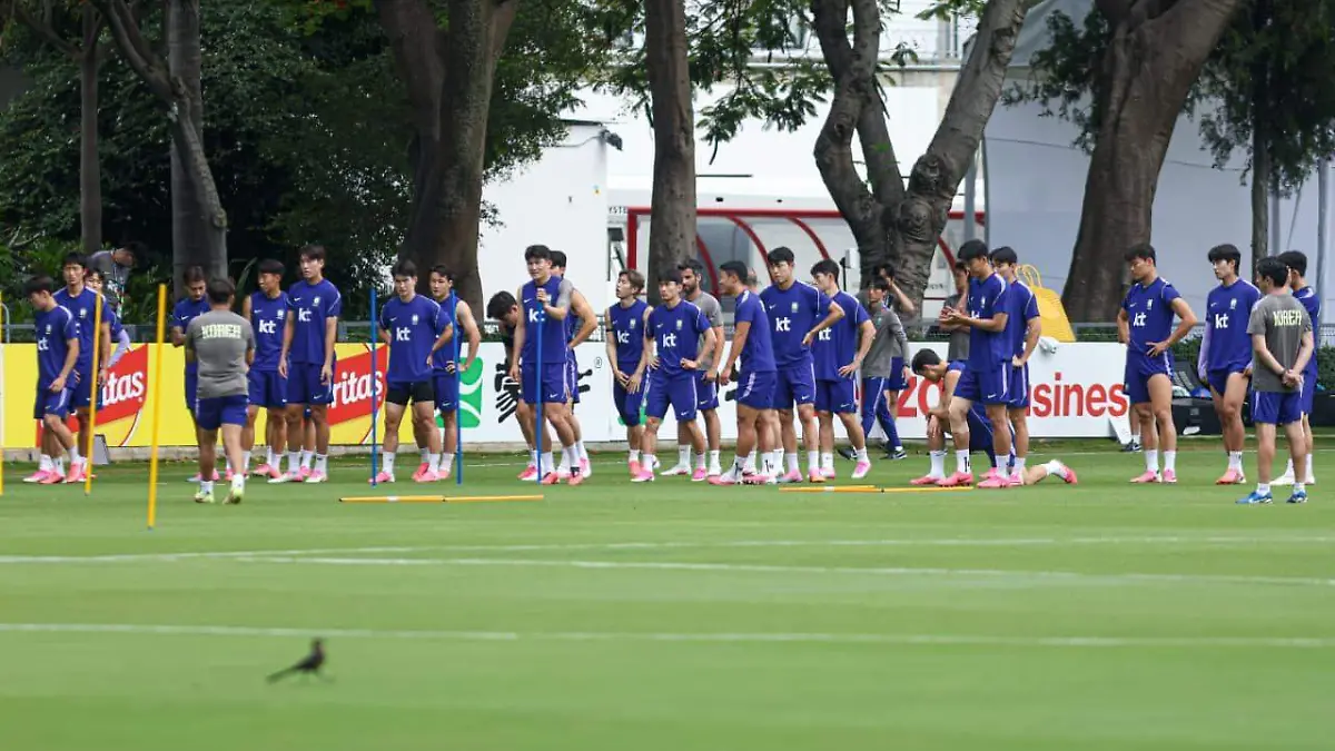 entrenamiento corea