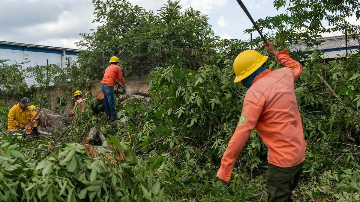 PROTECCION CIVIL