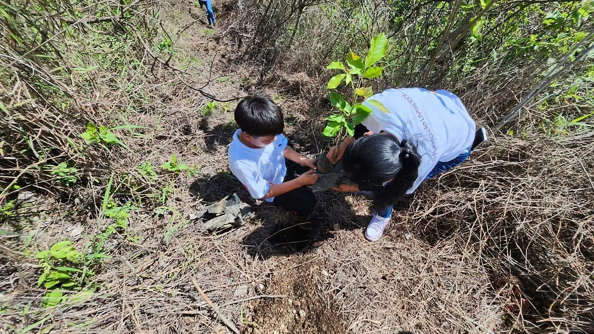 Secretaría de Desarrollo Sustentable Nayarit 2