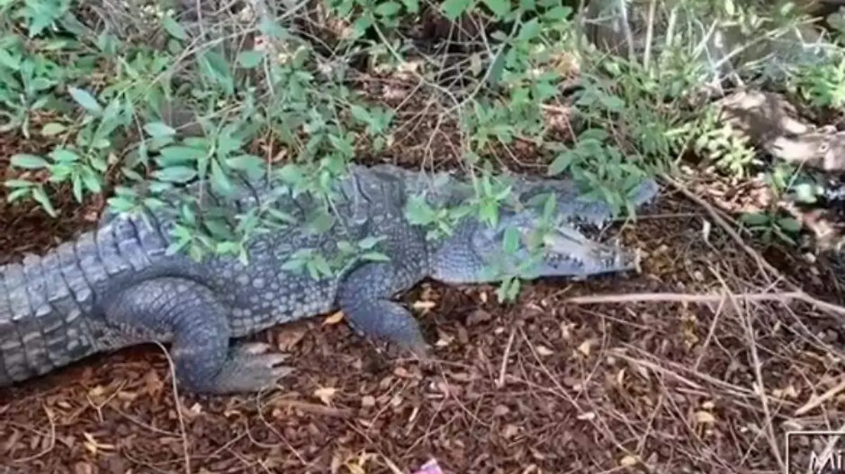 WhatsApp Image 2026-07-08 at 3.19.02 PM