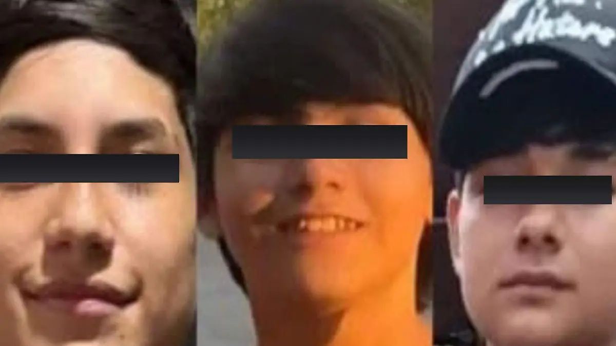 Desaparecidos Lomas