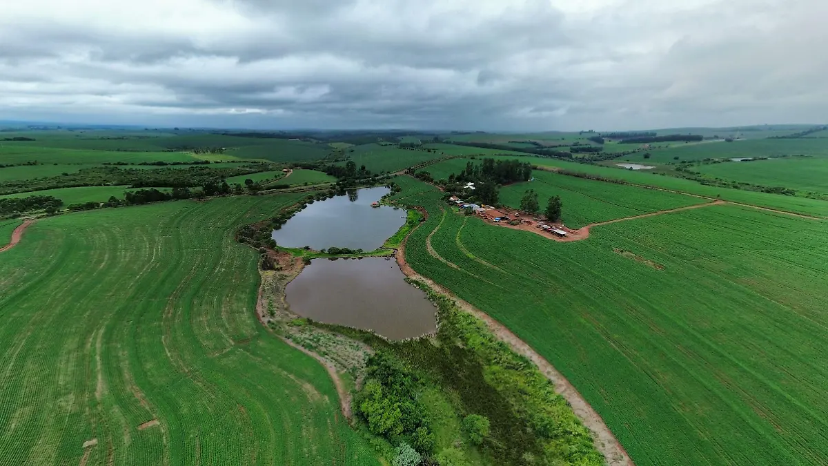 granja