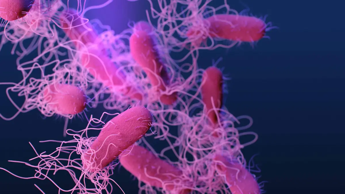 CDC Unsplash