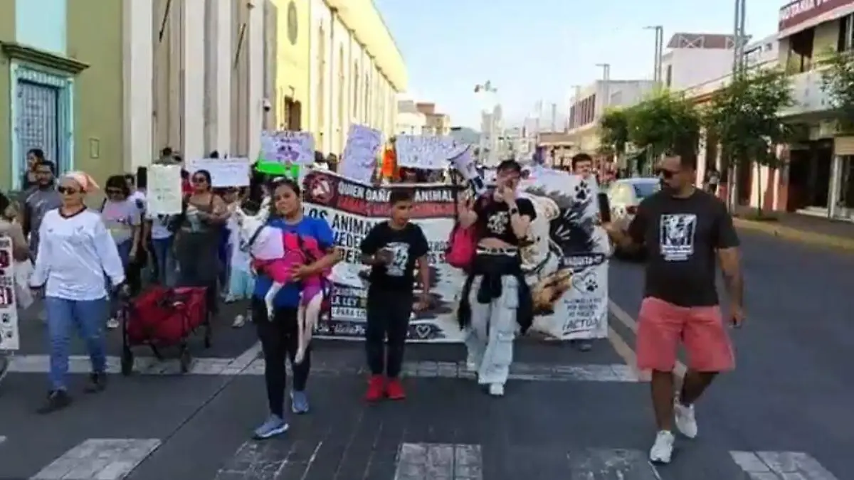 marcha 