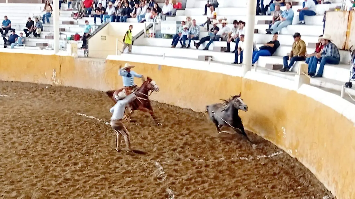 Charreria (2)