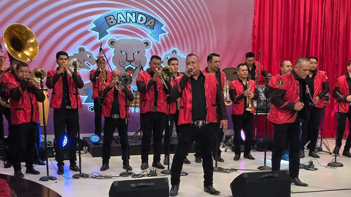 Banda Cachorros
