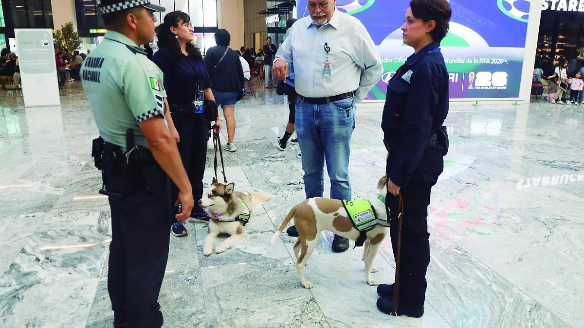 9 vigilancia seguridad 4 CMYK