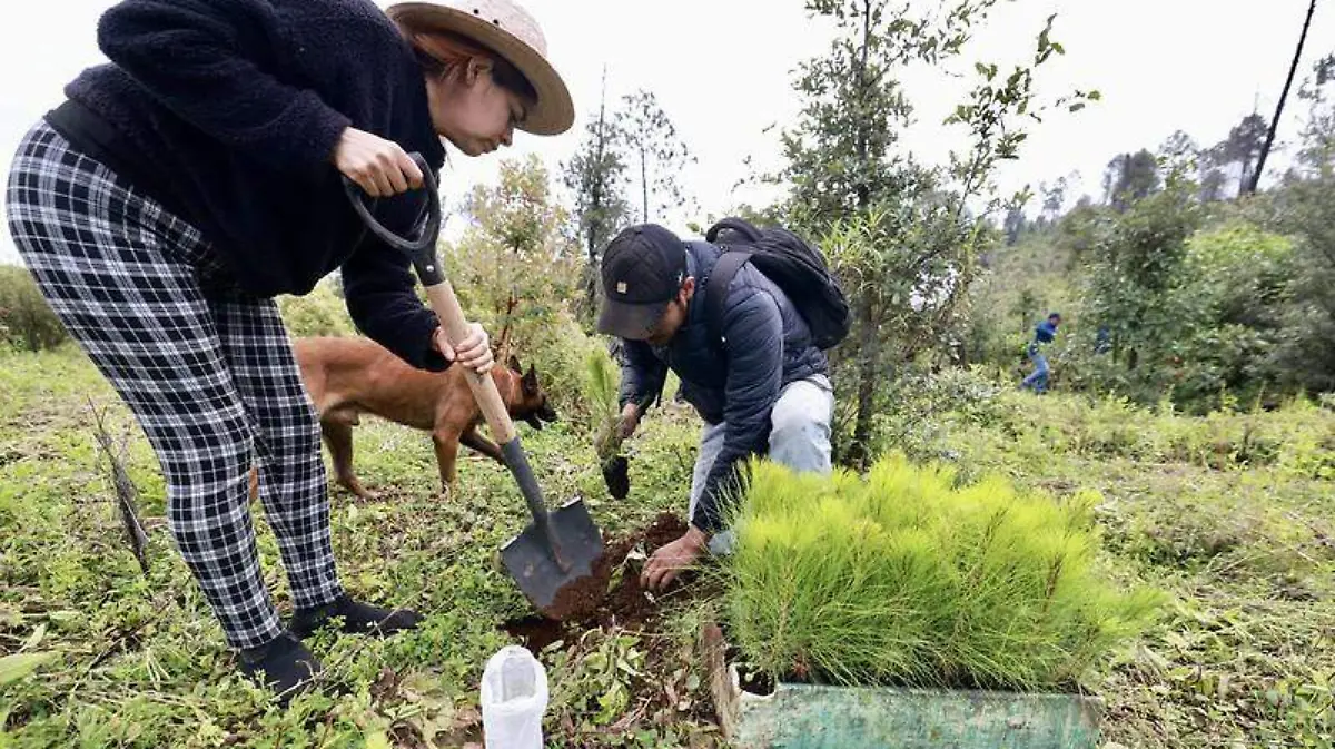Reforestación Atemajac